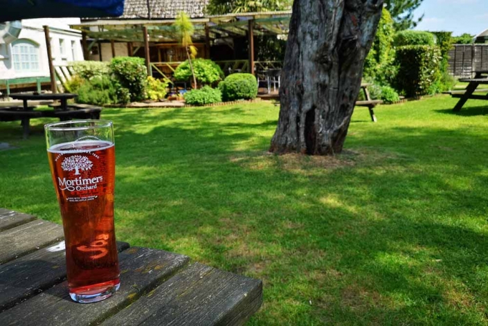 Drinks at The New Harp Inn